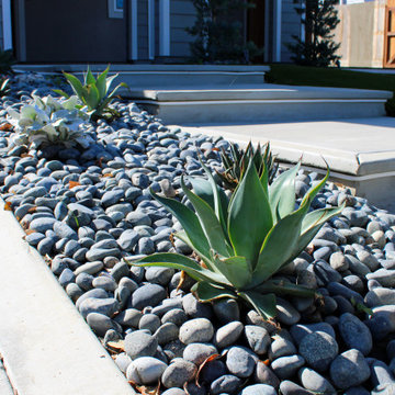 Sacramento Valley Front and Backyard Renovation