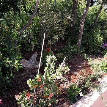 Création de Jardinières