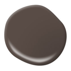Dark Truffle PPU5-19 - Paint
