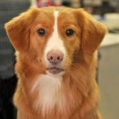 Shel Phelan's photo