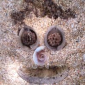 Andarian Man's photo