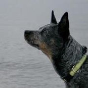 Carrie Rzewnicki's photo