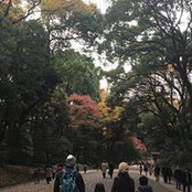 Erin Lyy's photo