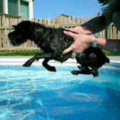 Kristin Phyllis's photo
