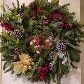 Joanne Grus's photo