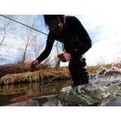Marguerite Meyer's photo