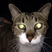Samantha Walker's photo