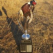 KB Denver Csi Trophy's photo