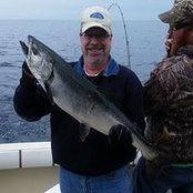 Dick Busch's photo