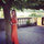 Lana Rifkin