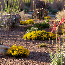 My Garden