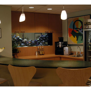 A portfolio of custom aquariums from our 17+ year history.