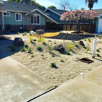 Front Yard Landscape