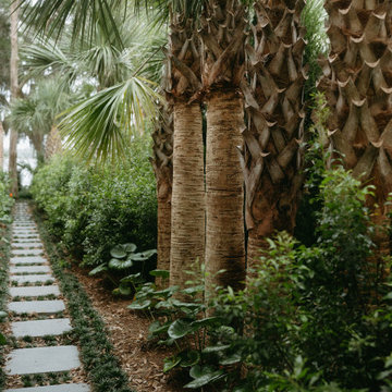 Palm Garden