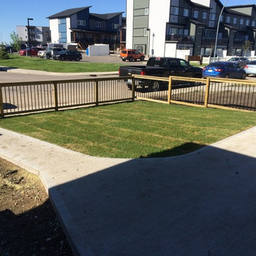 Coy Fence