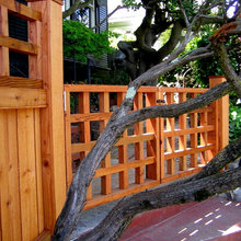 Landscape And Fence Ideas