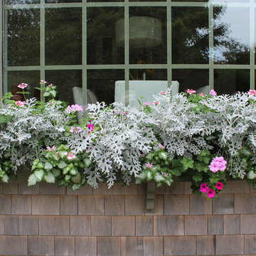 Window Boxes / Containers