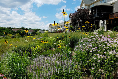 Design ideas for a rustic landscaping in DC Metro.