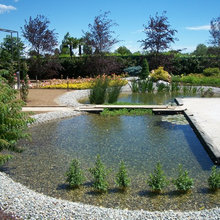 Progettazione di un giardino