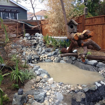 Zen Water project - ongoing