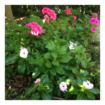 Seasonal Makeover