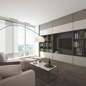 Entertainment Systems & Media Centers