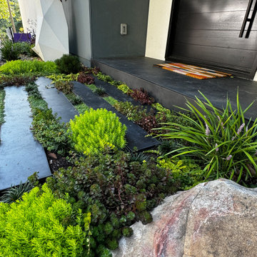 Asheville - Challenging Terrain Project
