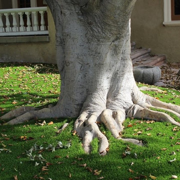 Artificial Turf
