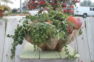 Inspiration for a patio remodel in Miami