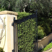 Gate To Driveway