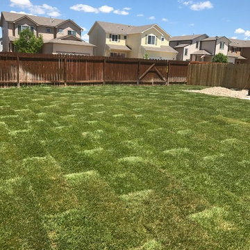 Removal, Soil Amendment & Installation