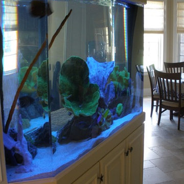 A portfolio of custom aquariums from our 17+ year history.