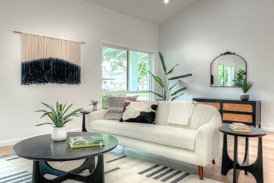 Design ideas for a modern living room in Santa Barbara.