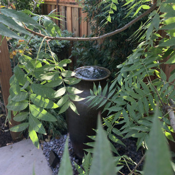 Water Features