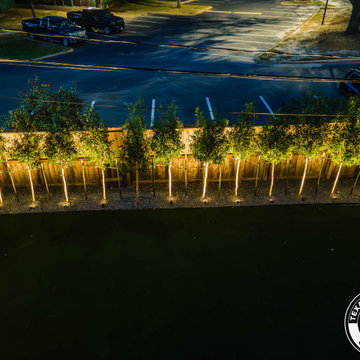 TURN YOUR YARD INTO A NIGHTTIME OASIS