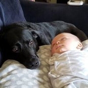 Alexandra McGovern's photo