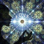 Pamela Thum's photo
