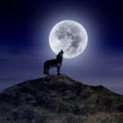 Don Lambert's photo