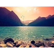 Reham R. Ahmeds foto