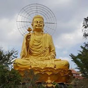 Aldo Canedo's photo