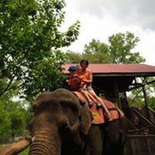 Leah Halpren's photo