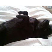 Ernie Harjono's photo
