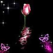 Renee Turnow's photo