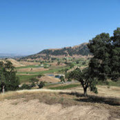 Jamie DiBoise's photo