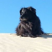 Mapy AussieLands foto