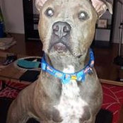 Ashley Early-Varga's photo