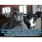 Eli Vanderhoof's photo
