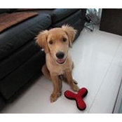 Jeffery Samuel's photo
