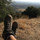 robin_olson1018