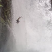 Jared Plowman's photo